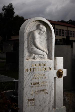 Obrázek reference