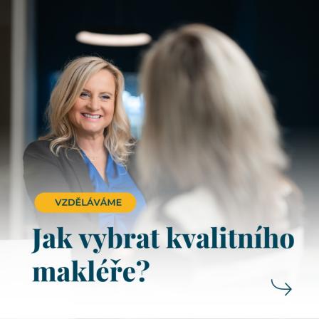 Obrázek reference