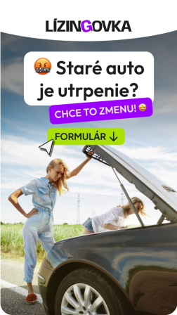 Obrázek reference