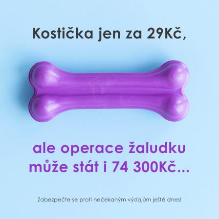 Obrázek reference