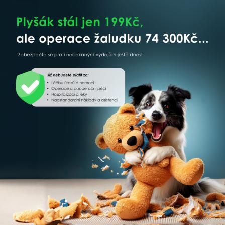 Obrázek reference