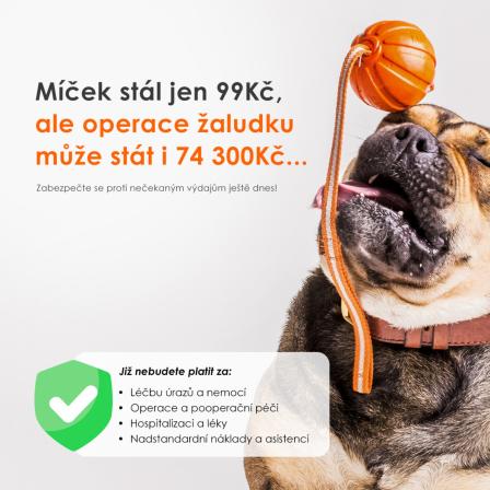 Obrázek reference