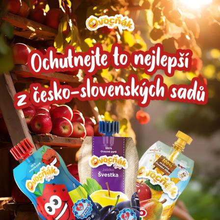Obrázek reference