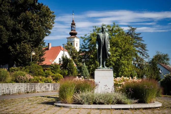 Obrázek reference