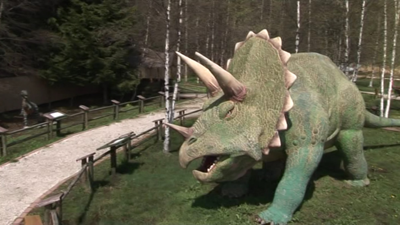 Obrázek reference