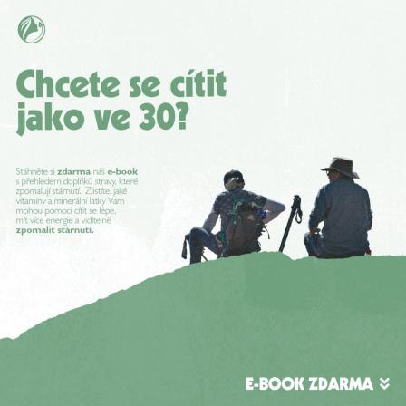 Obrázek reference