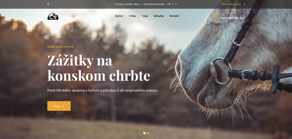 Obrázek reference
