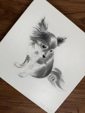 Obrázek reference