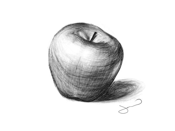 Obrázek reference