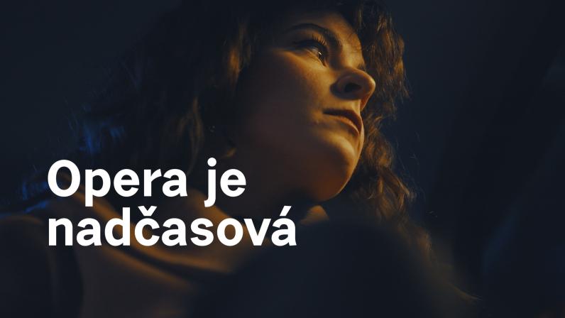 Obrázek reference
