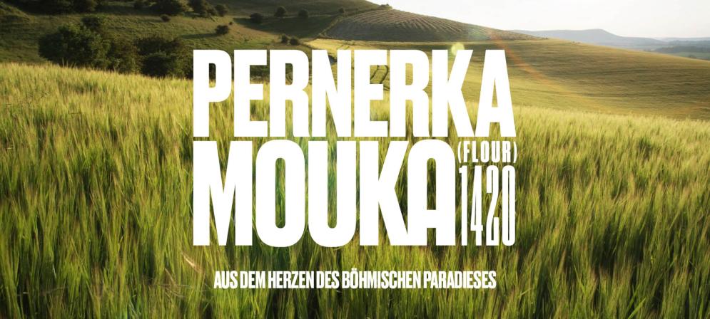 Obrázek reference