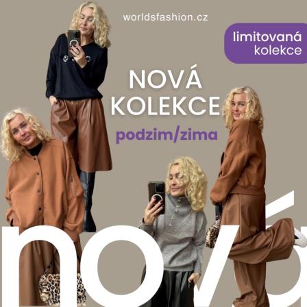 Obrázek reference