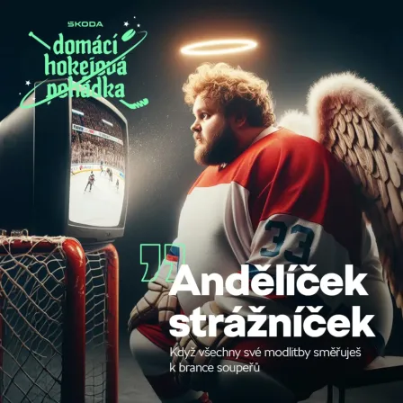 Obrázek reference