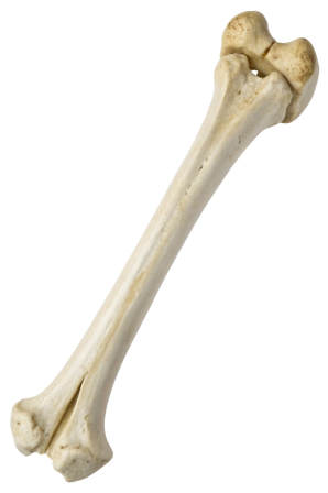 Obrázek reference