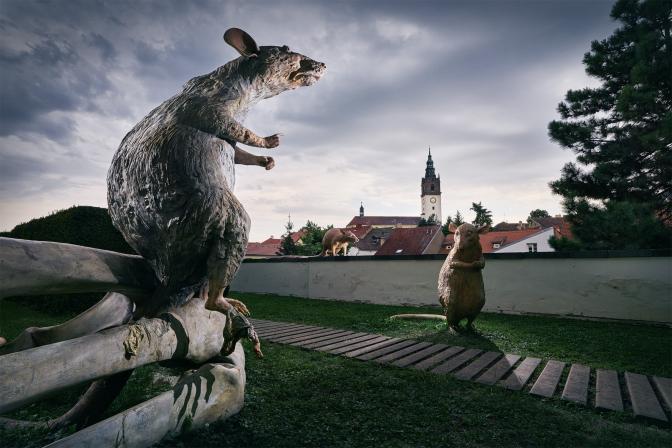 Obrázek reference