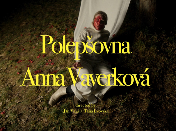 Obrázek reference