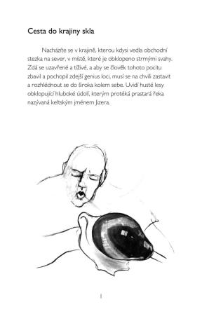 Obrázek reference