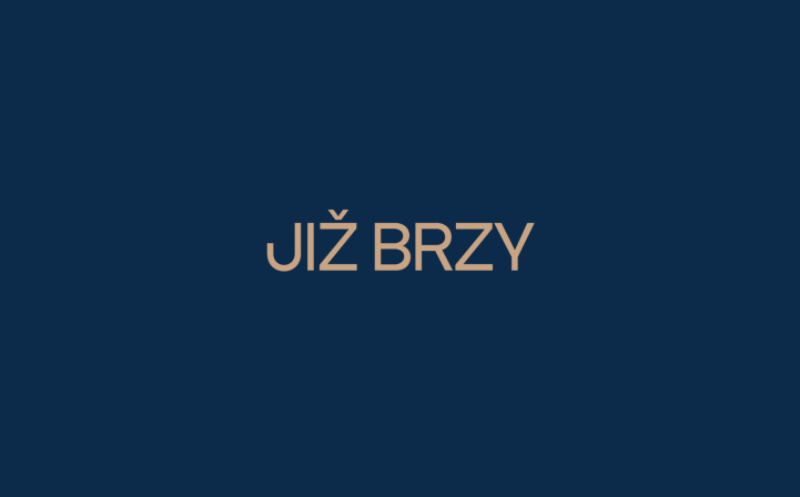 Obrázek reference