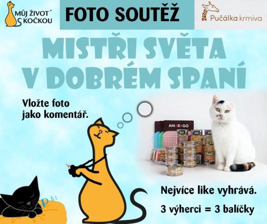 Obrázek reference