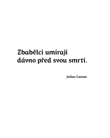 Obrázek reference