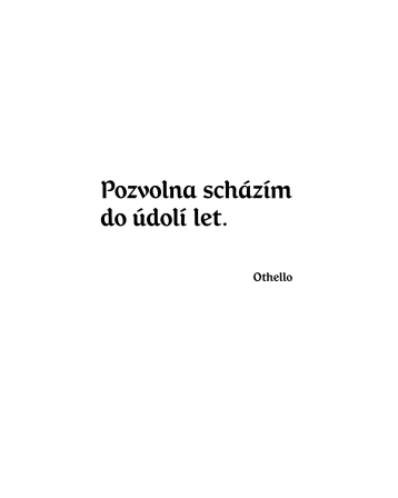 Obrázek reference