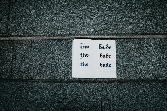 Obrázek reference