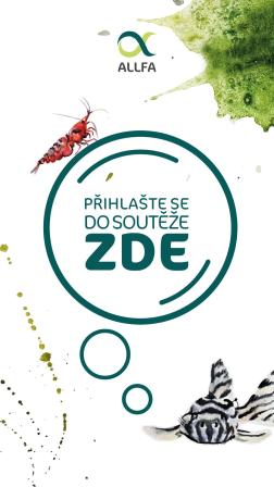 Obrázek reference