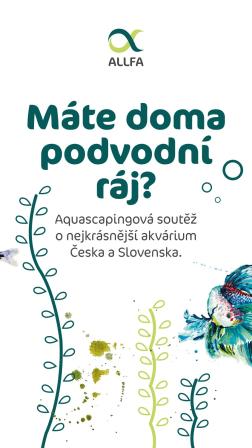 Obrázek reference