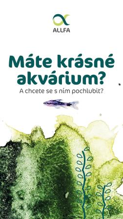 Obrázek reference