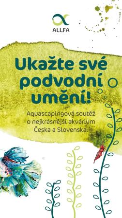Obrázek reference