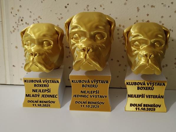 Obrázek reference