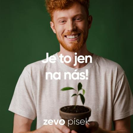 Obrázek reference