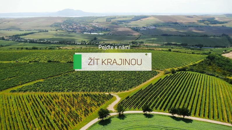 Obrázek reference