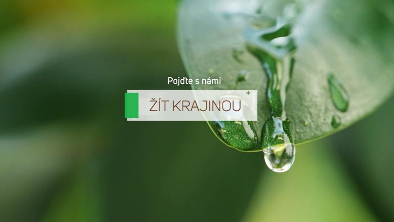 Obrázek reference
