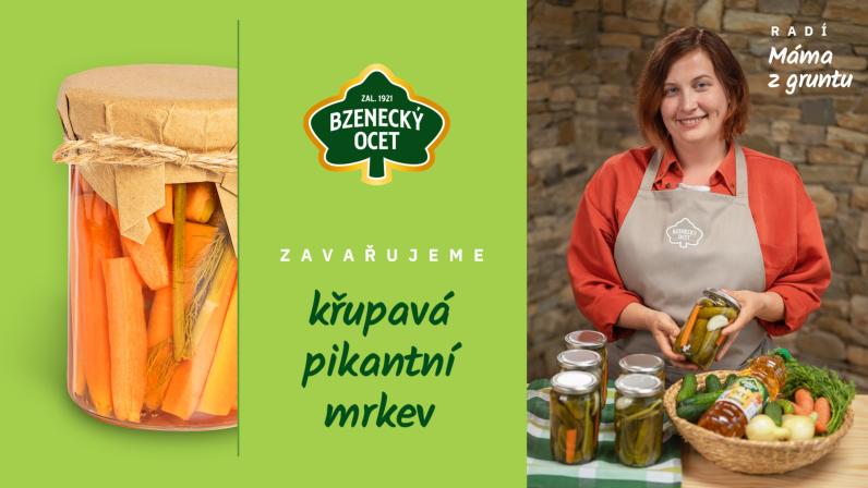 Obrázek reference