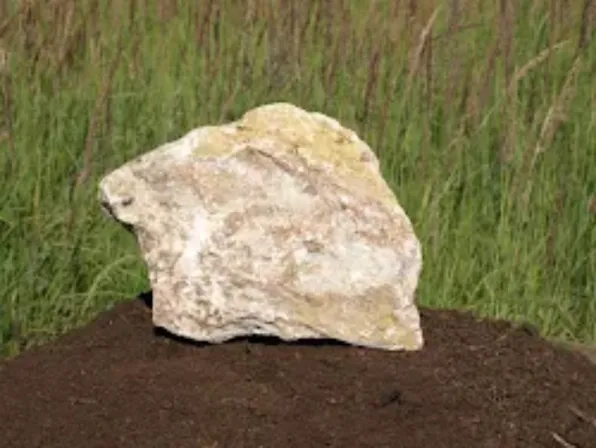 Obrázek reference