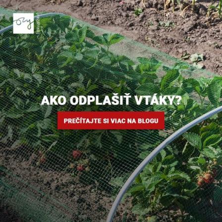 Obrázek reference