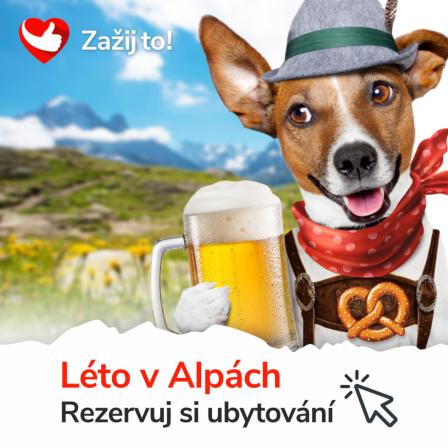 Obrázek reference