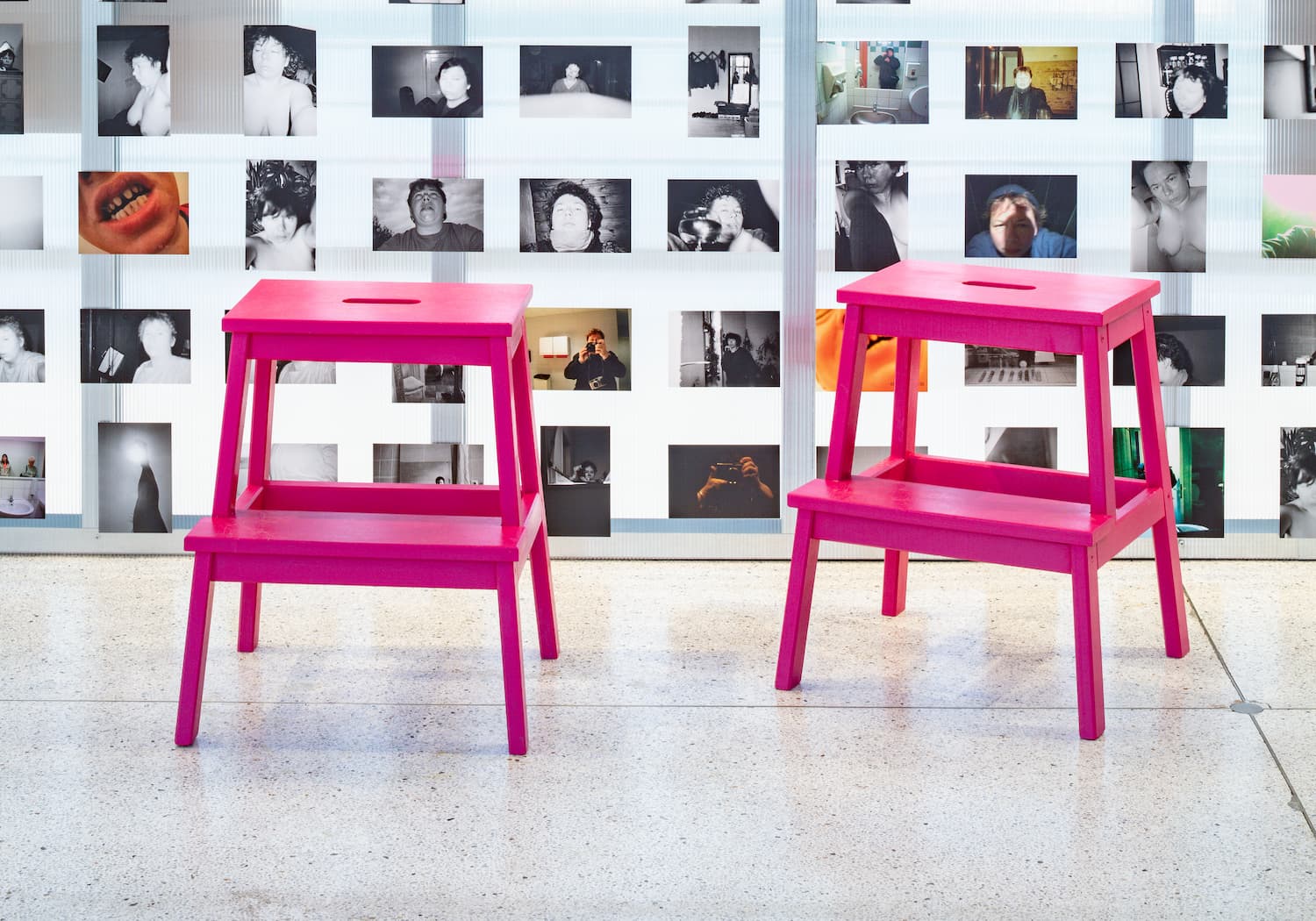 fotogalerie